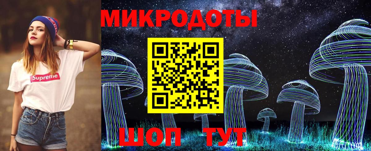 Городец  Галлюциногенные грибы Cubensis  как найти   Вход с VPN  Галлюциногенные грибы прущие грибы 
